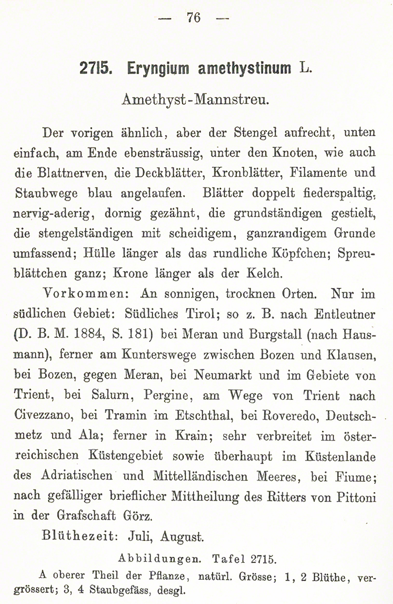 Mannstreu